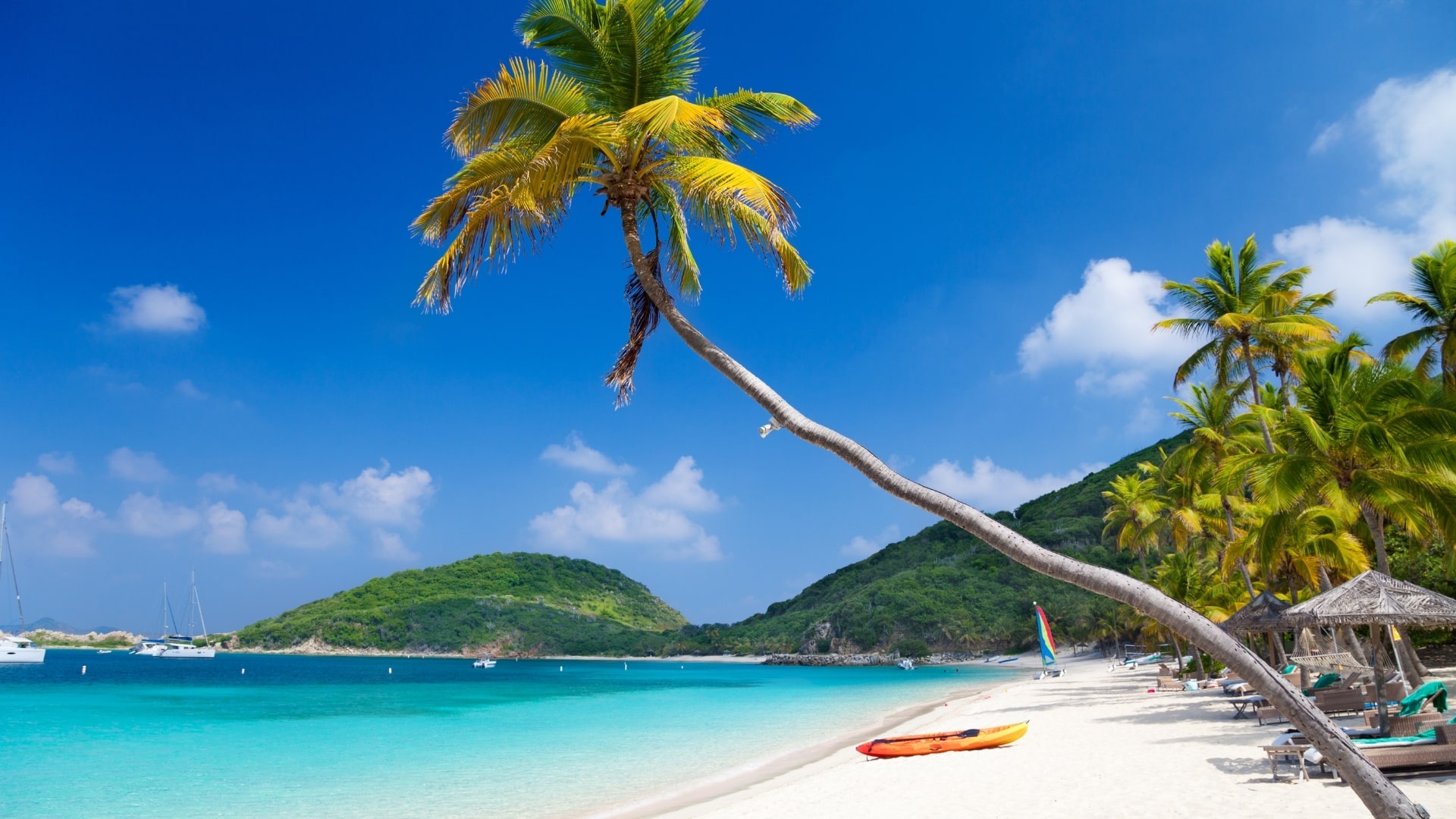 Forming a Company in the British Virgin Islands (BVI)