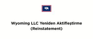 Wyoming LLC Reactivation